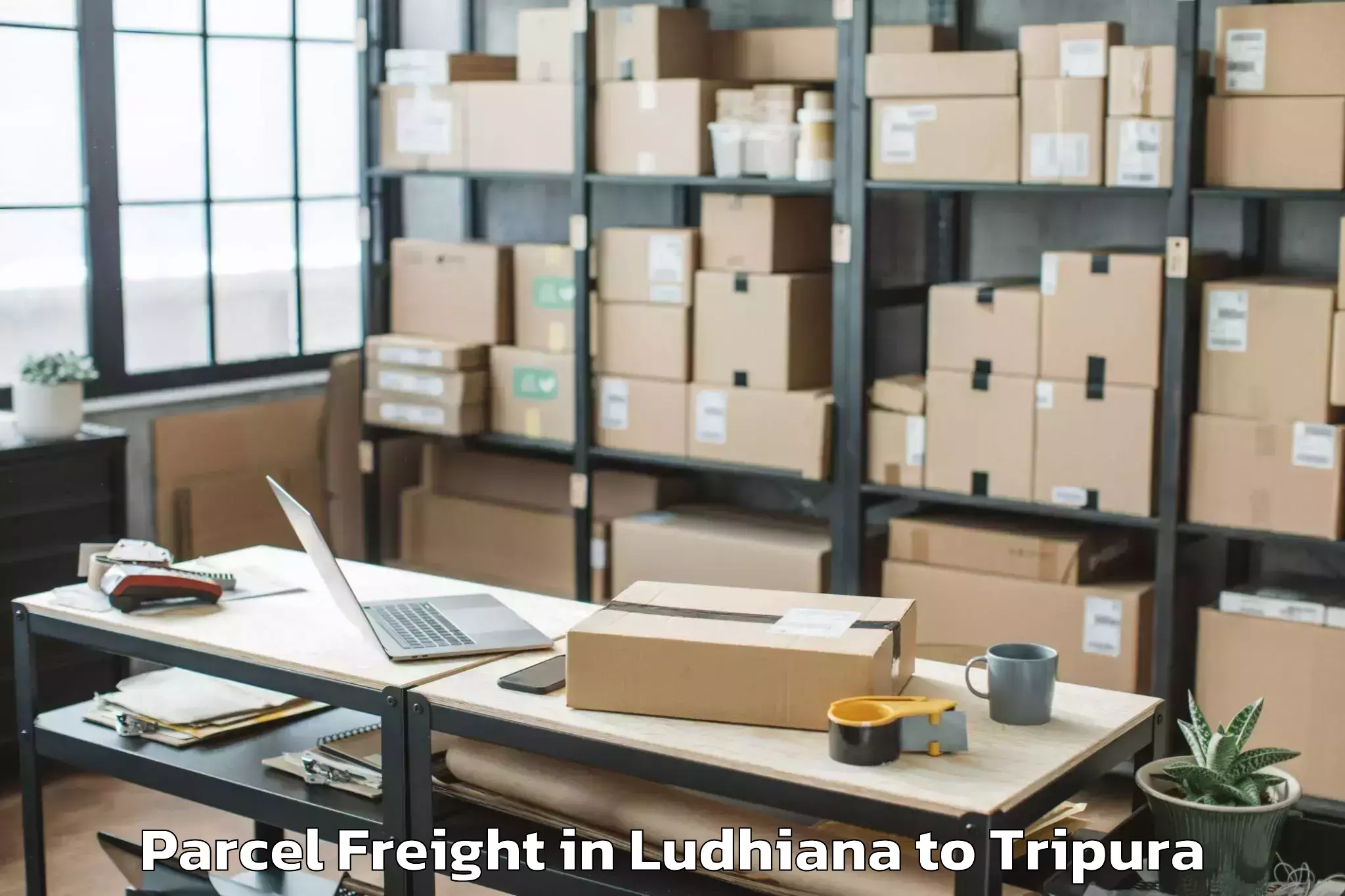 Hassle-Free Ludhiana to Kamalpur Airport Ixq Parcel Freight